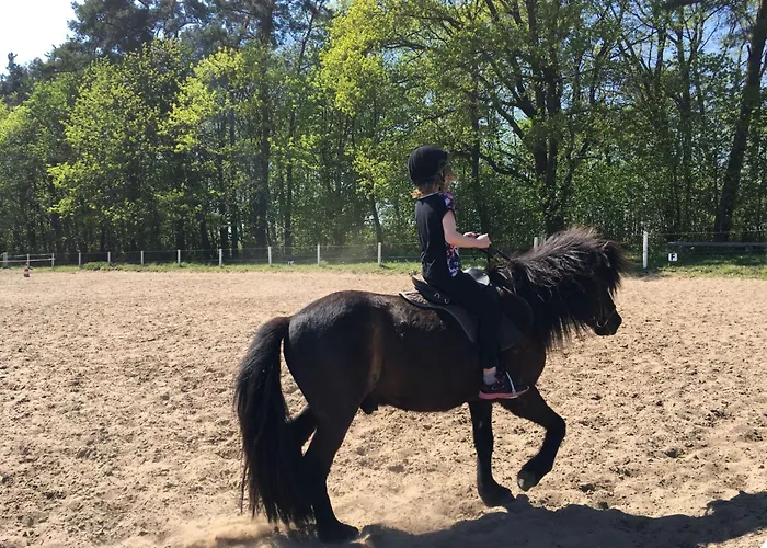 Am By Interhome Fuenfseen